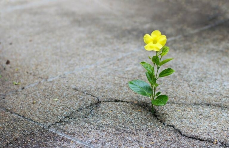 Finding Hope When You Feel Lost: A Guide to Rediscovering Joy